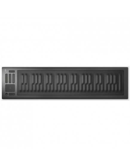 Roli Seaboard Rise 49
